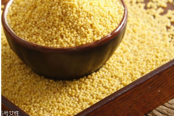 小米有啥营养价值,小米的营养价值及功效