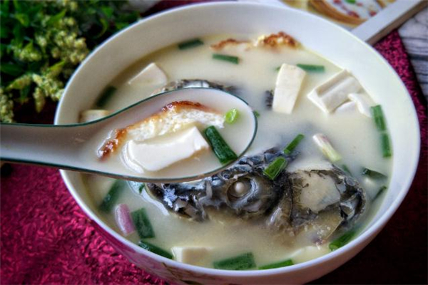 鱼头汤应该用什么豆腐,鱼头豆腐汤应该用什么鱼头比较好