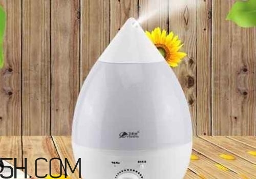 冬季用加湿器好不好,加湿器什么的好用