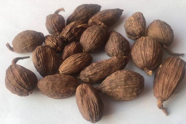 草果有什么用处,草果的药用价值