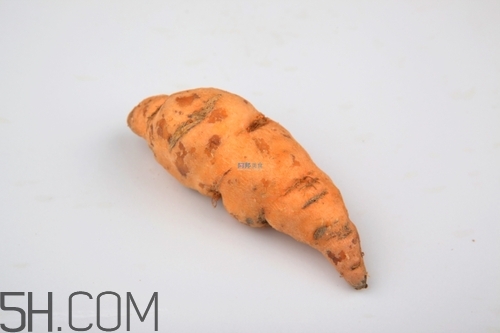 鲜地黄最新价格是多少钱,今年鲜地黄价格