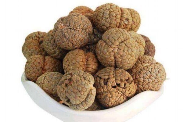 草豆蔻是豆蔻吗,草豆蔻又叫什么 草豆蔻是豆蔻吗,草豆蔻又叫什么