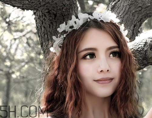 中央一套是什么意思,央视一套什么意思