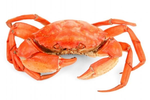 吃螃蟹为什么要喝黄酒 有什么好处,吃螃蟹要喝黄酒吗