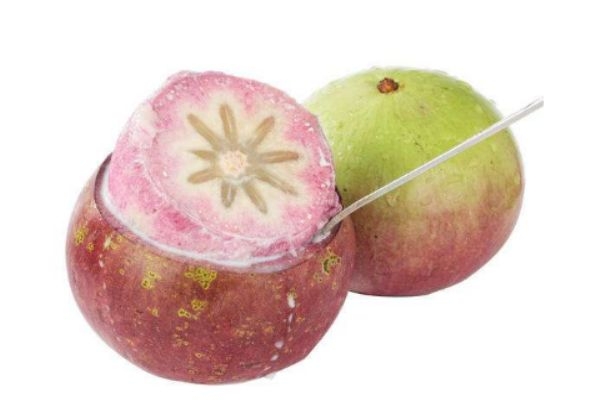 牛奶果是什么样的,牛奶是水果吗