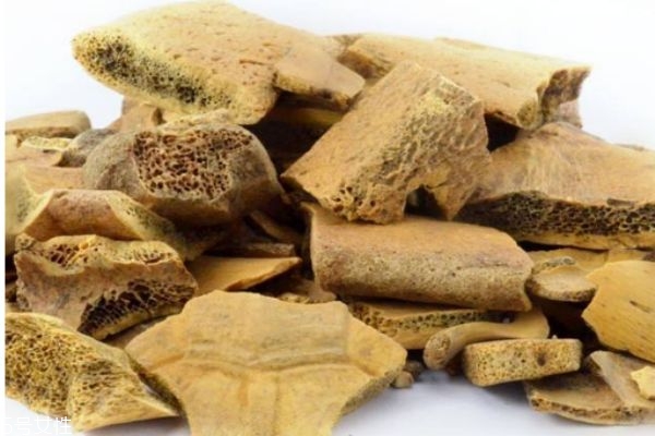 龟甲是啥意思,龟甲又叫什么