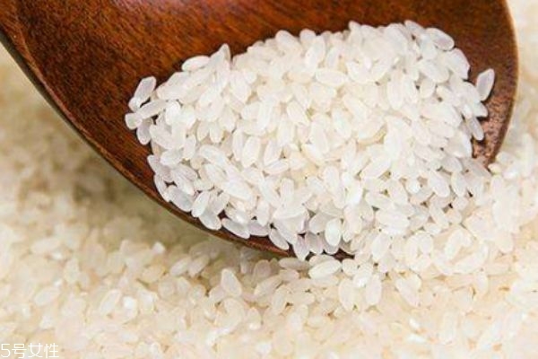 什么是粳米,什么米叫做粳米 什么是粳米,什么米叫做粳米