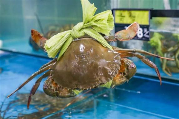 三门青蟹要蒸多久才能熟,青蟹要蒸多久才能熟视频