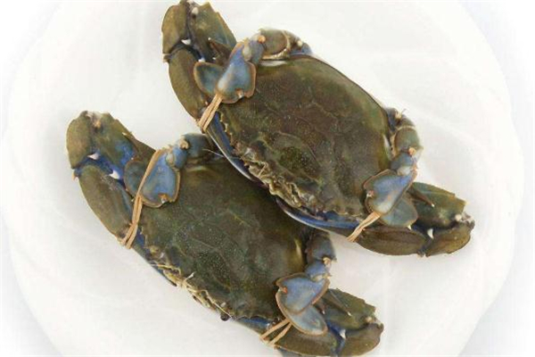 三门青蟹为什么那么贵,青蟹为什么那么贵