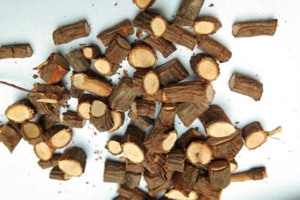 马桑根图片,马桑根的药用功效