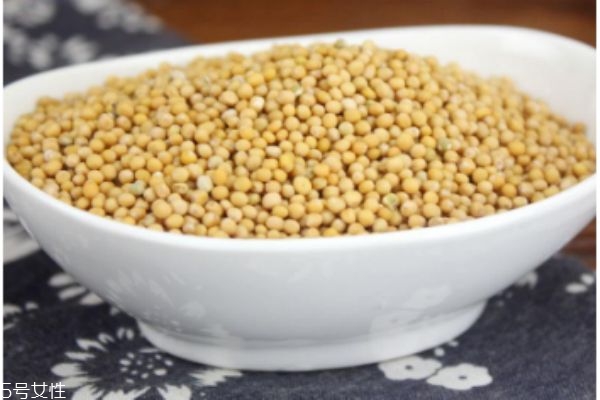 白芥子的副作用有哪些,白芥子的功效和作用,白芥子的副作用