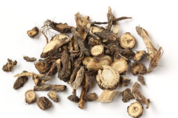 前胡能直接吃吗,前胡的功效和禁忌 前胡能直接吃吗,前胡的功效和禁忌