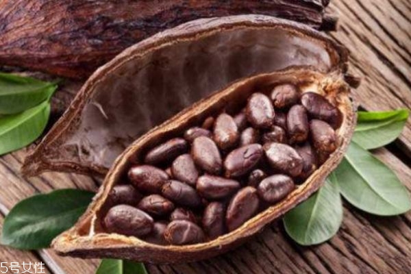 可可果是不是水果,可可果是什么样子的