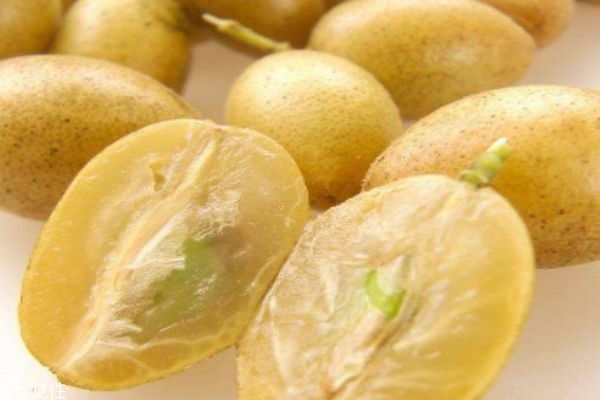 什么人不宜吃黄皮,吃黄皮的功效和禁忌