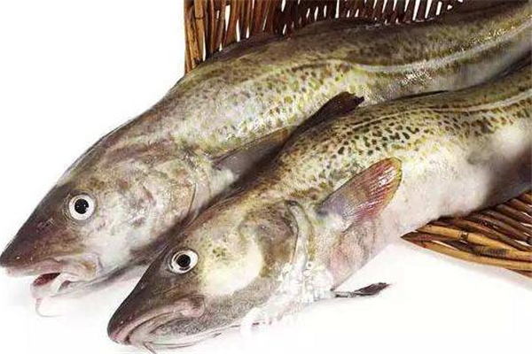 冻明太鱼怎么做好吃,冷冻的明太鱼还有营养吗