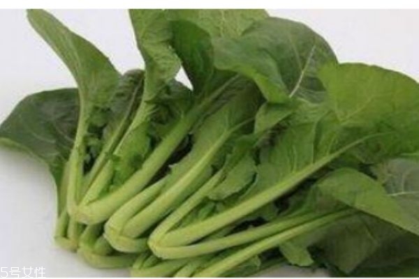 千宝菜是什么菜,千宝菜紫色大白菜 千宝菜是什么菜,千宝菜紫色大白菜