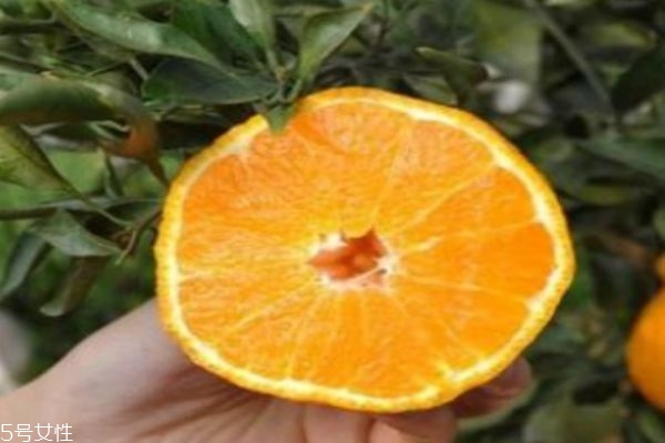 丑橘种植条件及气候,丑橘生长在哪里 丑橘种植条件及气候,丑橘生长在哪里