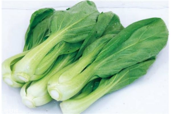 小白菜的营养价值是什么,白菜的营养价值是什么大白菜