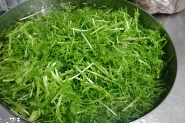 银丝菜图片,银丝芥菜又叫什么菜