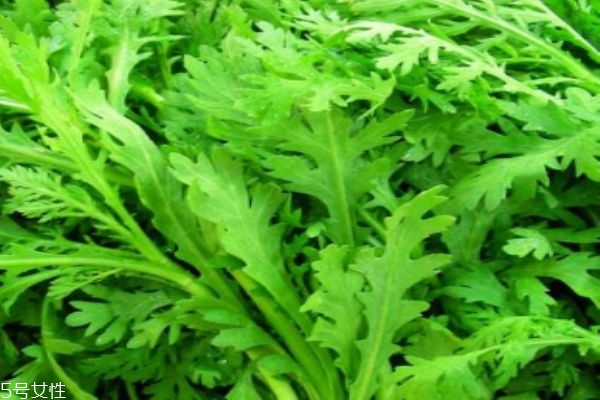 茼蒿的茼是哪个茼,茼蒿是什么样 茼蒿的茼是哪个茼,茼蒿是什么样