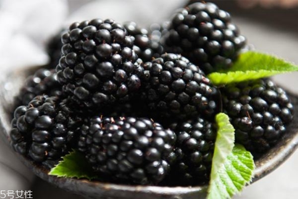 黑莓是什么意思,黑莓是树莓吗 黑莓是什么意思,黑莓是树莓吗