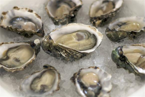 生蚝冷冻还是冷藏保存,生蚝冷冻还是冷藏好