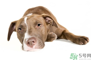 如何变勤奋(如何变勤奋) 如何变勤奋(如何变勤奋)