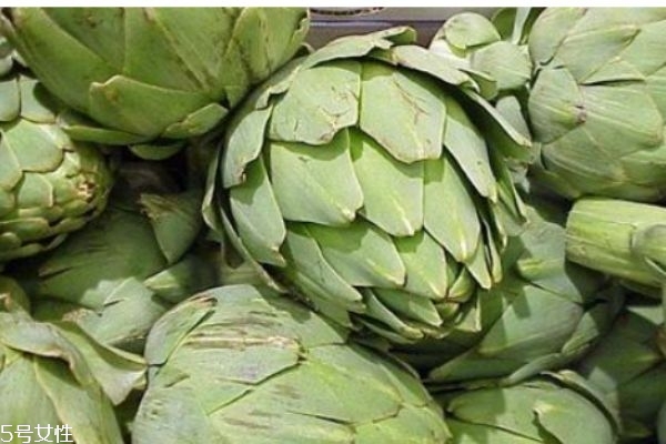 朝鲜蓟为什么叫朝鲜蓟,为什么叫朝鲜蓟