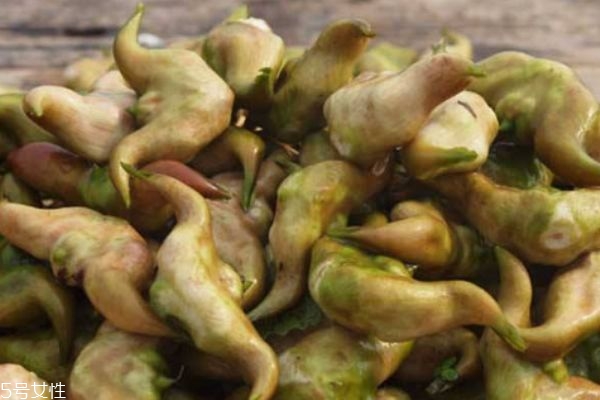 菱角有什么营养价值呢?,菱角有什么营养和功效 菱角有什么营养价值呢?,菱角有什么营养和功效