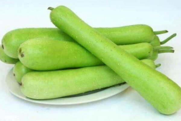 瓠瓜的营养价值和功效,瓠瓜的功效 瓠瓜的营养价值和功效,瓠瓜的功效