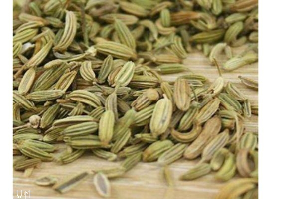 小茴香是茴香吗,什么叫小茴香