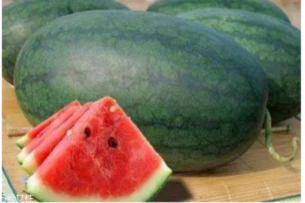 西瓜黑美人,黑美人瓜子