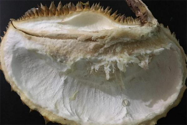 榴莲壳上的白肉怎么吃,榴莲白色的肉可以吃吗 榴莲壳上的白肉怎么吃,榴莲白色的肉可以吃吗