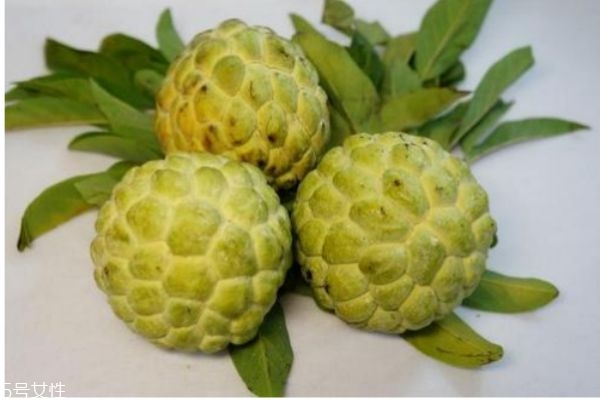 释迦果的营养价值,释迦果有营养吗