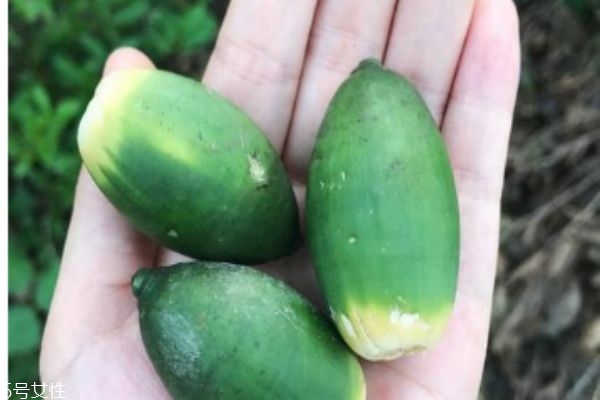 吃槟榔的注意事项,吃槟榔忌什么