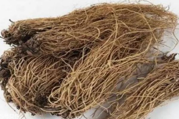 白薇是什么意思,白薇百度百科 白薇是什么意思,白薇百度百科