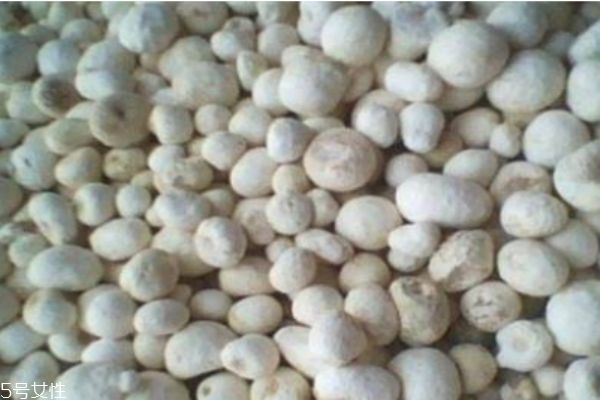 半夏指的是什么半夏,半夏都有什么半夏