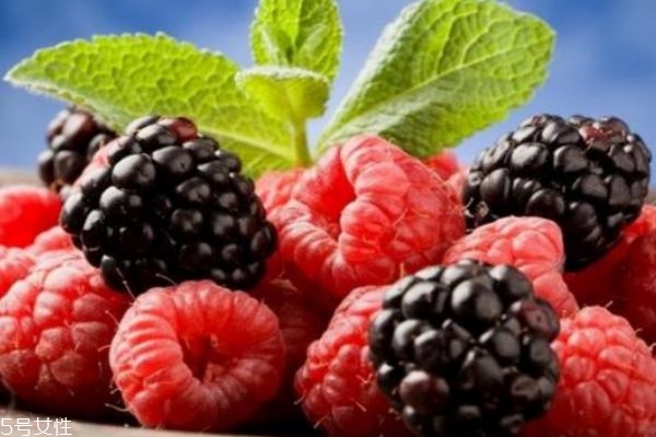 桑葚什么人群不可以吃,哪些人不能吃桑葚