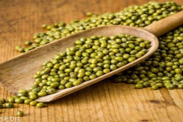 什么样的绿豆,绿豆为什么