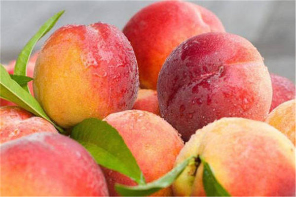 桃子热量高么,桃子的热量是多少大卡