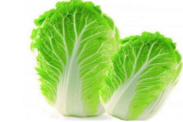 大白菜都有什么品种,大白菜的优良品种有哪些 大白菜都有什么品种,大白菜的优良品种有哪些