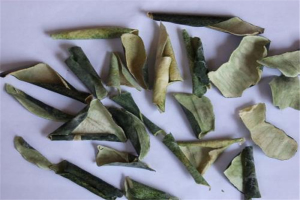 中药冬瓜皮的功效,冬瓜皮有什么药用价值 中药冬瓜皮的功效,冬瓜皮有什么药用价值