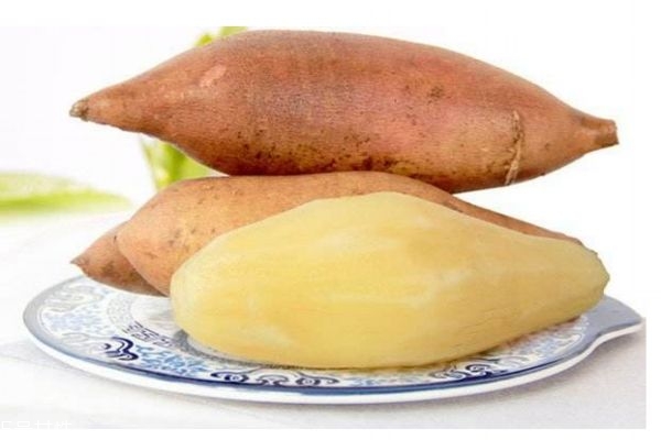 啥是雪莲果,雪莲果为什么叫雪莲果?