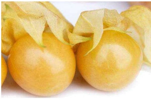 刚怀孕的女人吃什么水果好,孕妇可以吃姑娘果吗中期