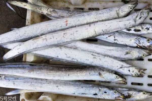 带鱼有啥营养价值,带鱼有哪些营养价值及食用功效?