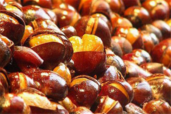 板栗算什么类别,板栗分为哪几种