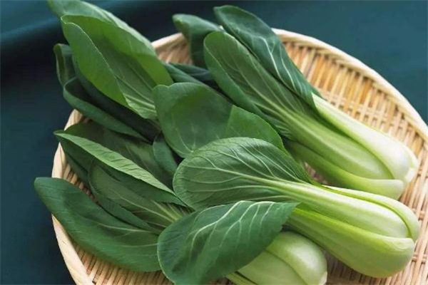 上海青跟小白菜是一种菜吗,上海青是不是白菜