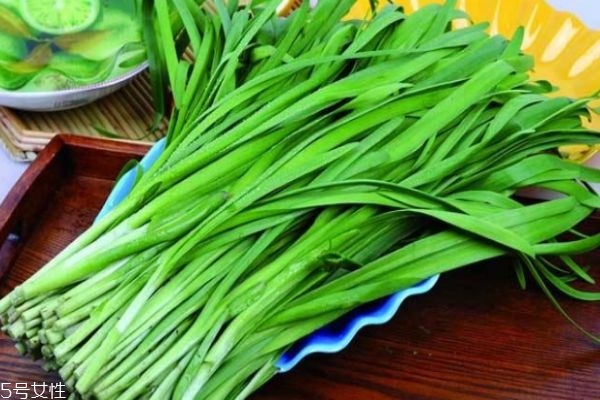 韭菜有啥营养价值,韭菜有啥营养