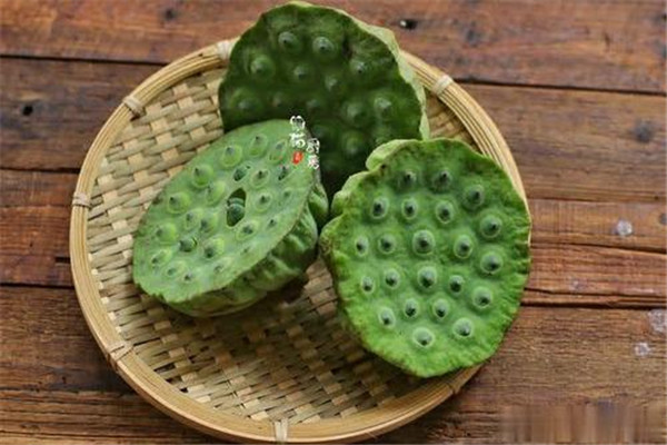 吃莲子会发胖吗会长胖吗,吃莲子会长胖吗 吃莲子会发胖吗会长胖吗,吃莲子会长胖吗