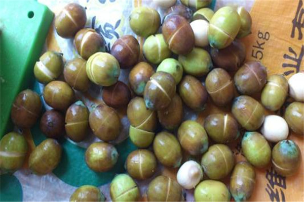 莲子是不是寒性的,莲子性平还是性寒